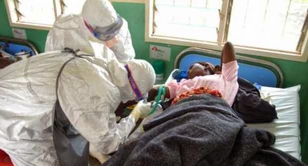 ebola virus 411vibes