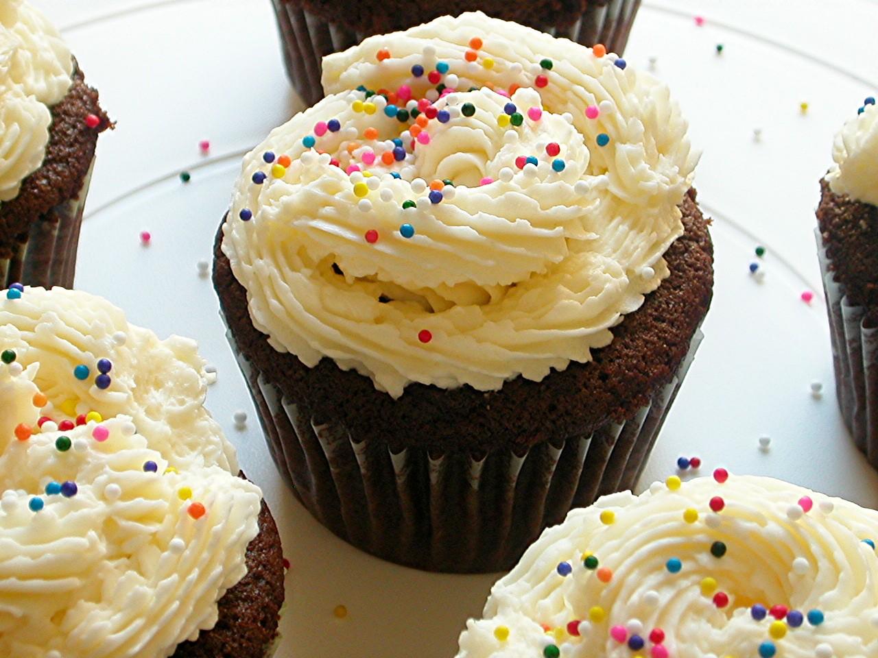 chocolate-cupcakes-with-vanilla-frosting-the-trent