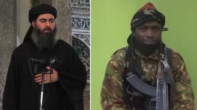 boko haram alliance with isis theinfong.com