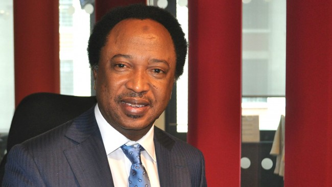 %22We have moved from power epilepsy to power paralysis' - Sen. Shehu Sani theinfong.com