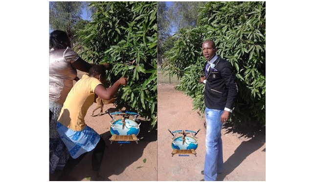 Prophet orders members to eat mango leafs