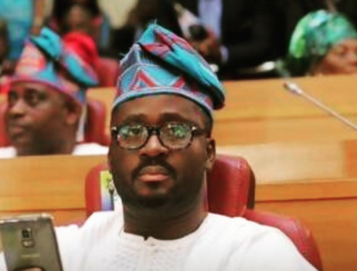 first-pic-of-desmond-elliot-at-the-house-of-assembly - 700x533 theinfong.com