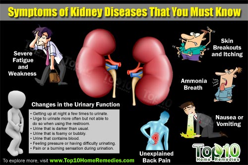 Top 10 symptoms of kidney disease that you need to know.. theinfong.com