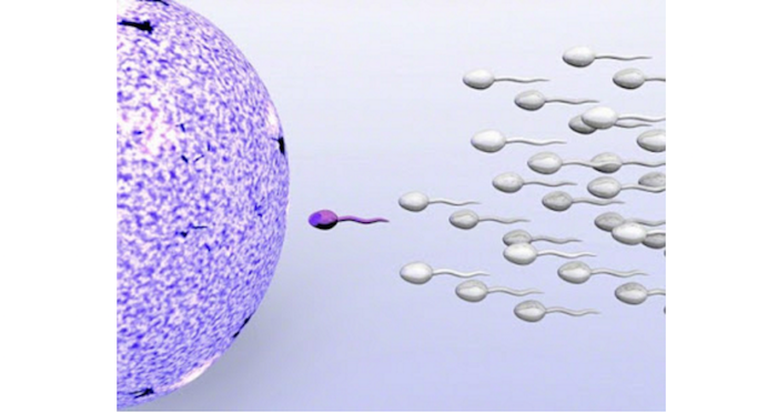 There's now a contraceptive injection that blocks sperm theinfong.com 700x372