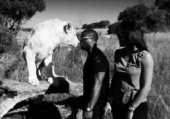 See how close Kevin Hart got to lions in South Africa theinfong.com