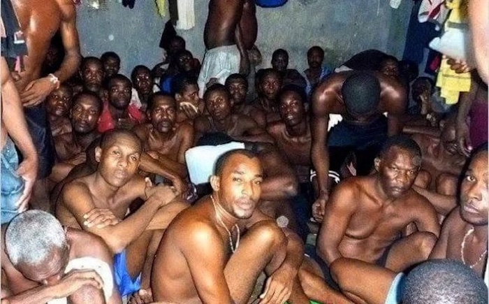 Pictures of nigeria porn