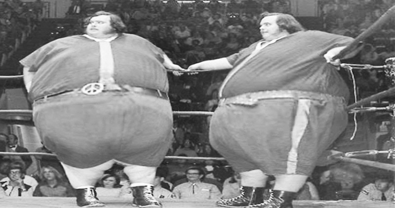 McGuire-Twins-10 of the Largest Wrestlers in WWE History -theinfong.com