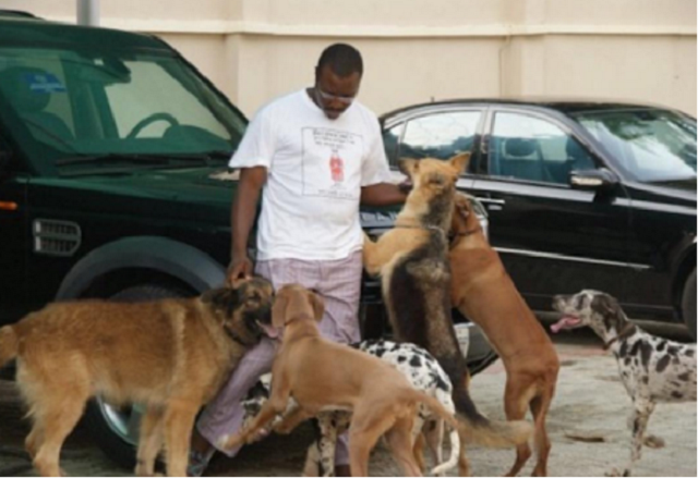 Alibaba shows off his dogs named after OBJ