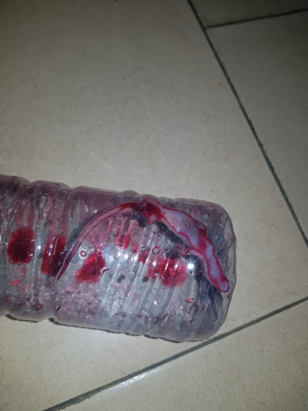 Lady finds 'Wall Gecko' in her bottle after drinking Zobo from it (Photos)