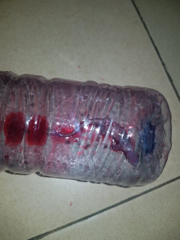 Lady finds 'Wall Gecko' in her bottle after drinking Zobo from it (Photos)