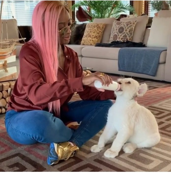“I’ve always wanted to be a mother”- DJ Cuppy buys white Lion Cub, names her Cuppy (video)