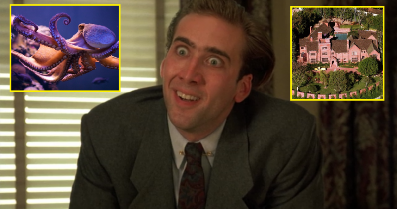 nic-cage-face