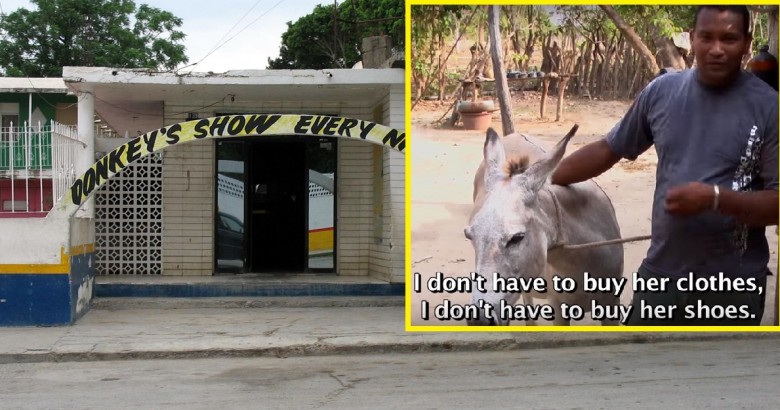 Donkey-bar