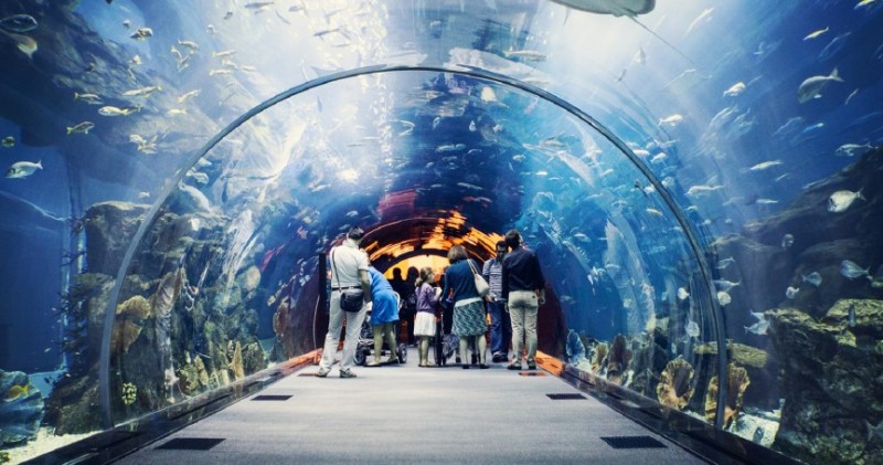 Dubai-Mall-Aquarium