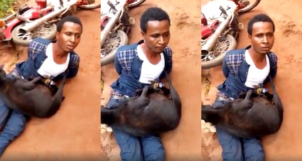 Pastor Publicly Disgraced After Being Caught Stealing Goat In Anambra 