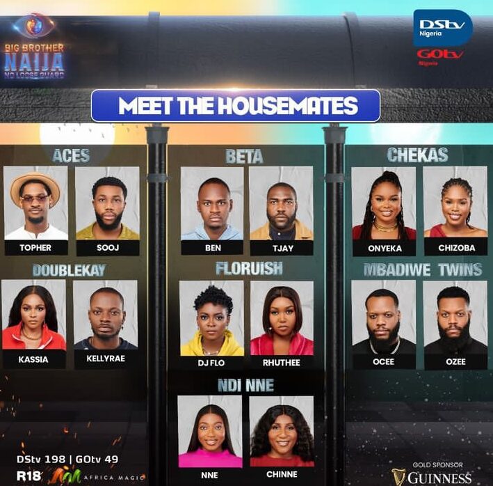 BBNaija Season 9 Show: Meet the Housemates