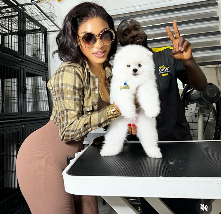 Alleged Car Debt: Tonto Dikeh excited as she shows off her new dog worth over N6million