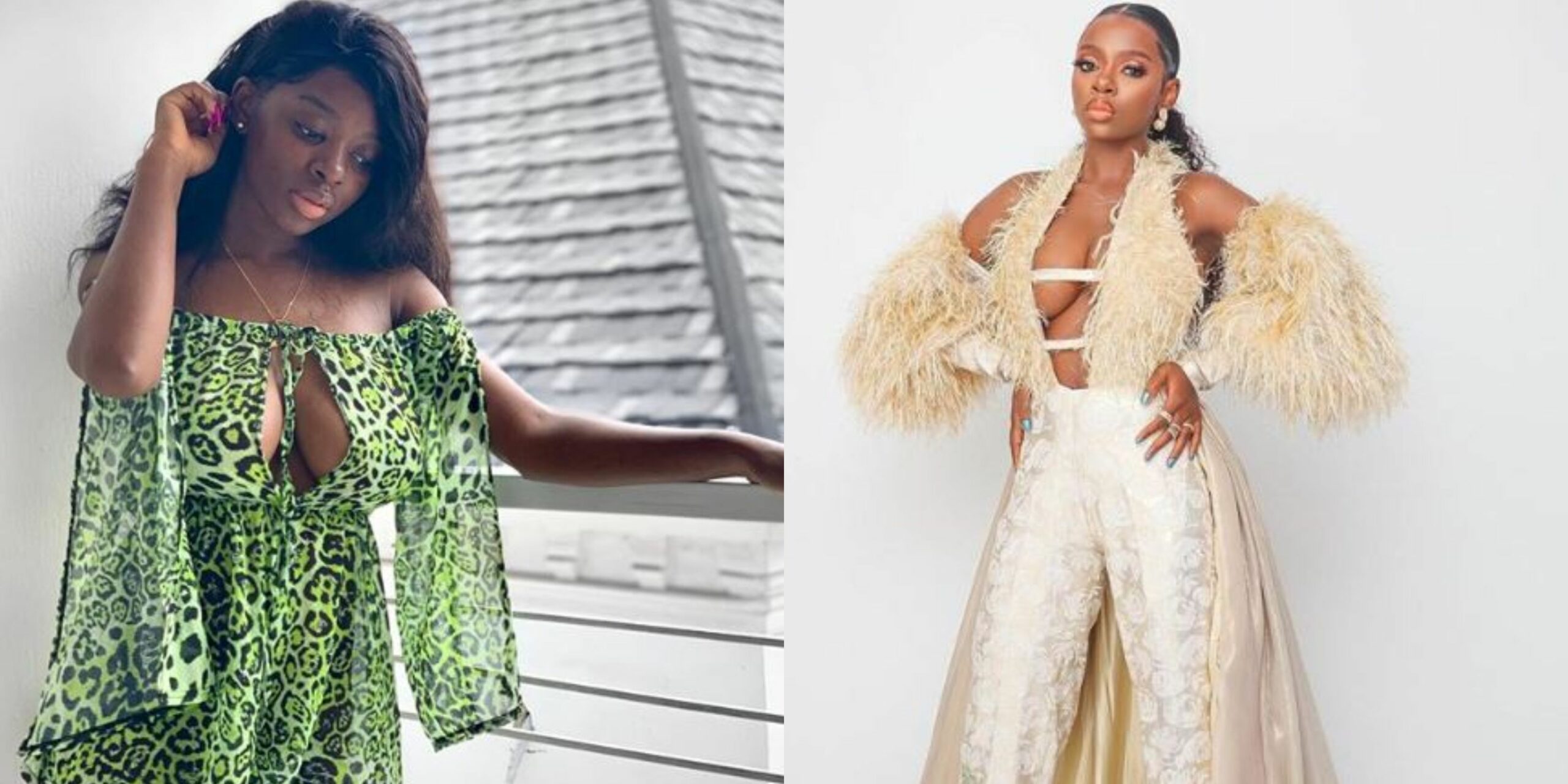 ‘They are deceiving you, there is no beauty in exposing your b**bs’ – Fans advice ex BBNaija housemate, Diane