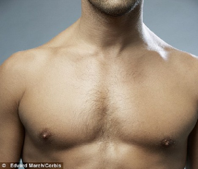 Male nipples female. Мужская грудь. Мужская грудная клетка.