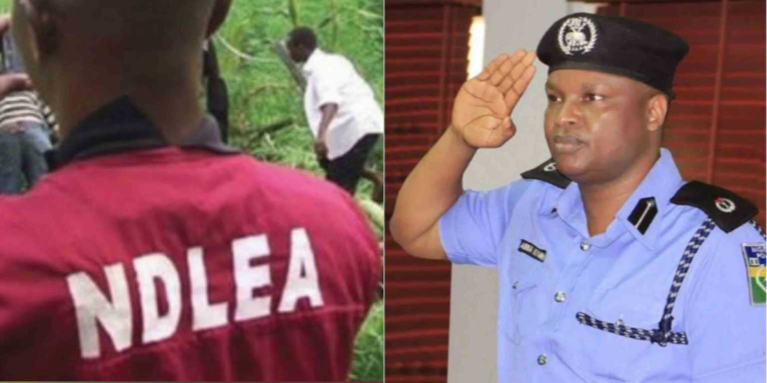 Brazil drug cartel insisted on 50%, they are greedy; Abba Kyari says in transcripts released by NDLEA