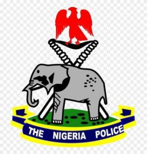 Image of the Nigerian Police